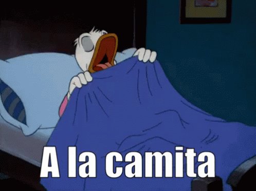 Pato Donald Se Va A Dormir GIF