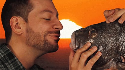 Beijando Peixe Beijo GIF