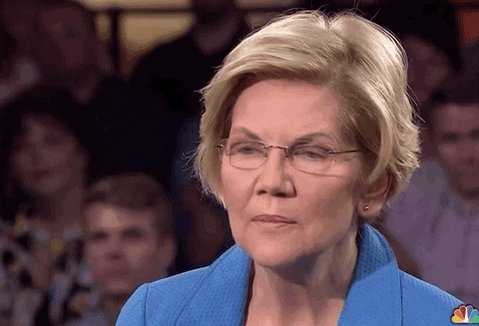 Elizabeth Warren Msnbc GIF