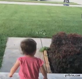 grandma GIF
