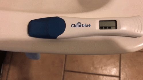 Not Pregnant Pregnancy Test GIF