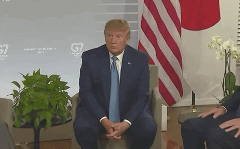 Donald Trump No Comment GIF