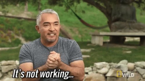 Cesar Millan GIF