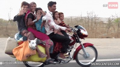 family GIF