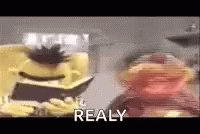 Really Bert And Ernie GIF