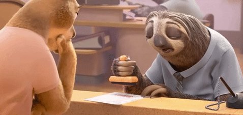 sloth dmv GIF