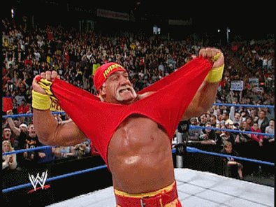   HAPPY BIRTHDAY HULK HOGAN         I MISS HIS MOVIES. HE IS AN AMAZING WRESTLER ALL THE TIME. 