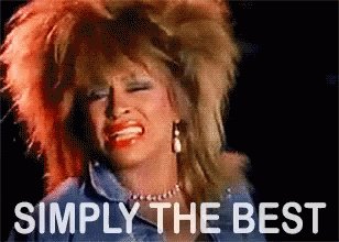 Simply The Best Tina Turner GIF