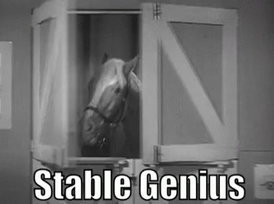 Stable Genius Mr Ed GIF