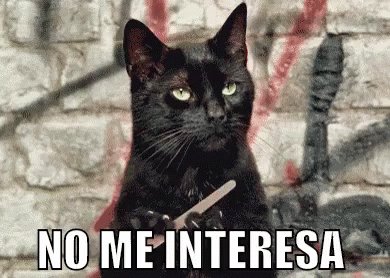 Salem Gato No Me Interesa GIF