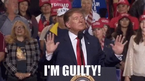 Trump Guilty GIF