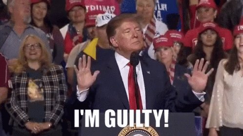 Trump Guilty GIF