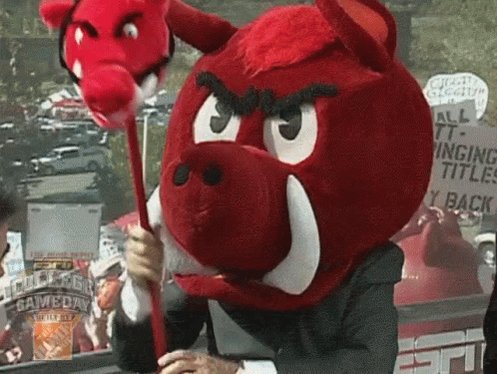 Woo Pig Sooie Arkansas GIF