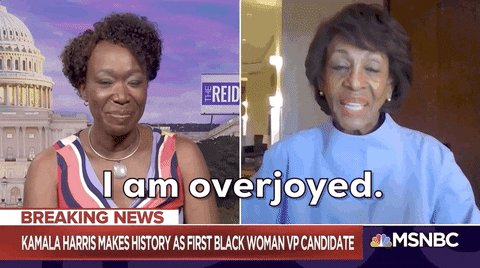 Maxine Waters Joy Reid GIF by GIPHY News