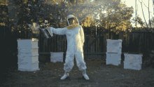 Dance Bee Keeper GIF