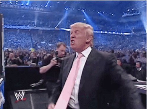 Donald Trump Win GIF