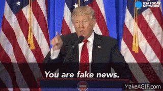 You Are Fake News - Fake News GIF