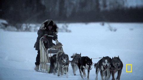 life below zero snow GIF by National Geographic Channel