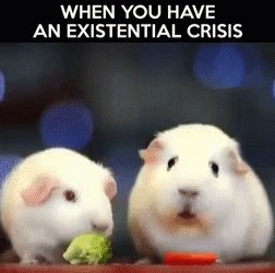 Existential Crisis GIF