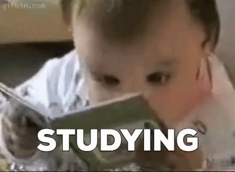 Studying Busy GIF