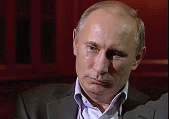 Risa De Putin GIF