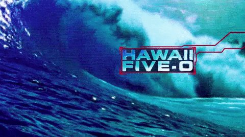 hawaii five o mceddie GIF b...