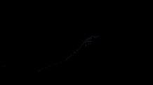 Galaxy GIF