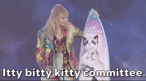 Taylor Swift Itty Bitty Kitty Committee GIF by FOX Teen Choi