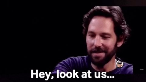 Look At Us Paul Rudd GIF