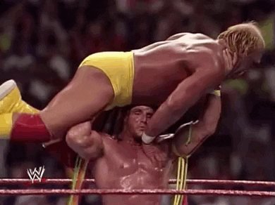 hulk hogan wrestling GIF by...