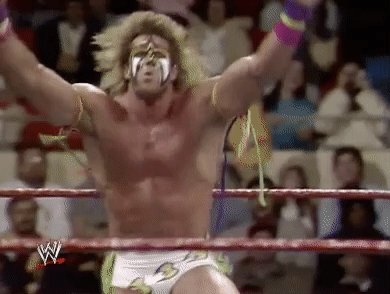 Survivor Series Sport GIF b...
