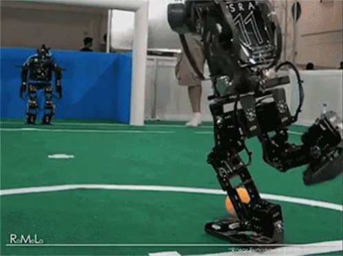 Robot Fail GIF