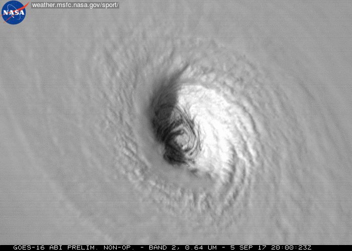 hurricane irma GIF by NASA