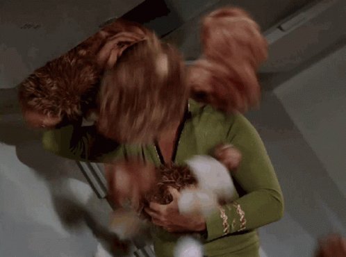 Tribbles Star Trek Universe GIF