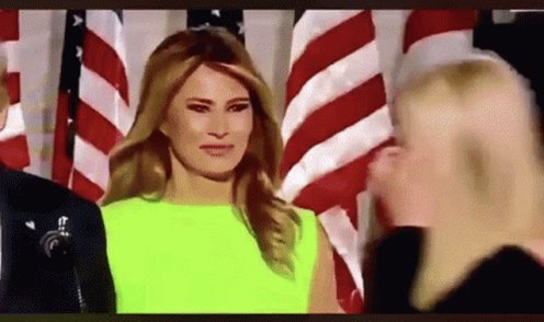 Melania Wtf GIF