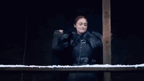 Game Of Thrones Go T GIF