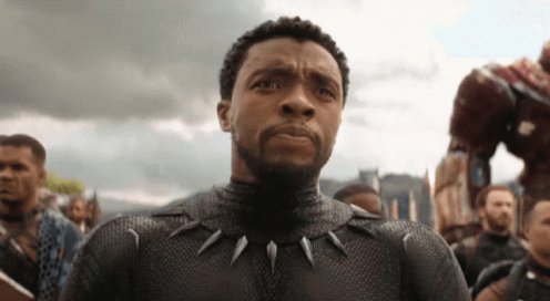 Wakanda Panther GIF