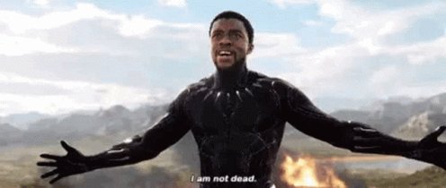 Black Panther Surprise GIF