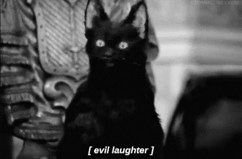 Evil Laugh Cat GIF