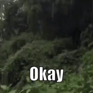 Ok Okay GIF