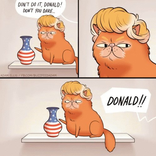 Donald Trump GIF