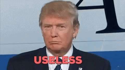 Useless Trump GIF