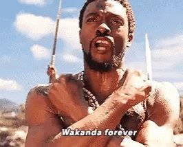 Black Panther Wakanda Forever GIF