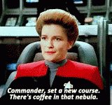 Captain Janeway Star Trek V...