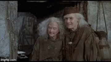 Princess Bride GIF