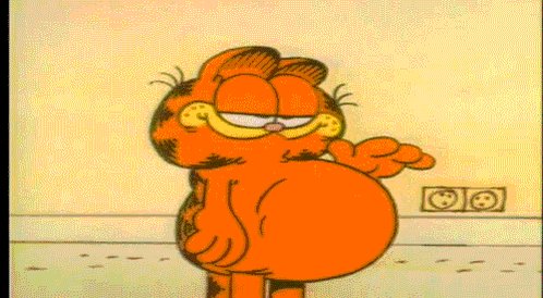 full fat cat GIF