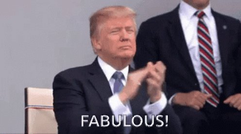 Donald Trump Fabulous GIF