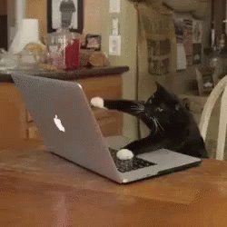 Me At Work GIF