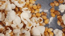 Popcorn Kernels GIF