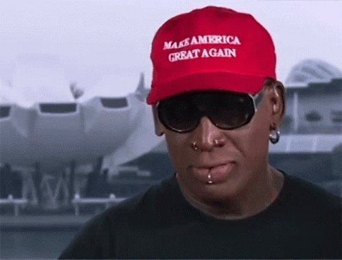 Dennis Rodman Hat GIF